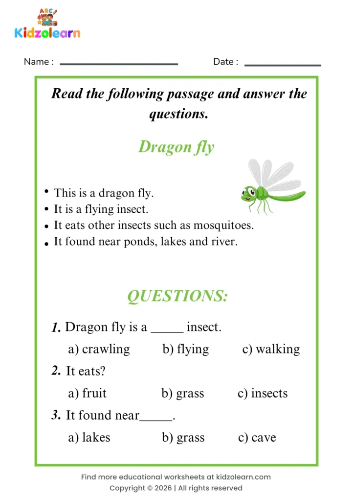 Free dragon fly reading comprehension worksheet for kids – printable PDF with a short passage about dragon fly and three multiple choice comprehension questions