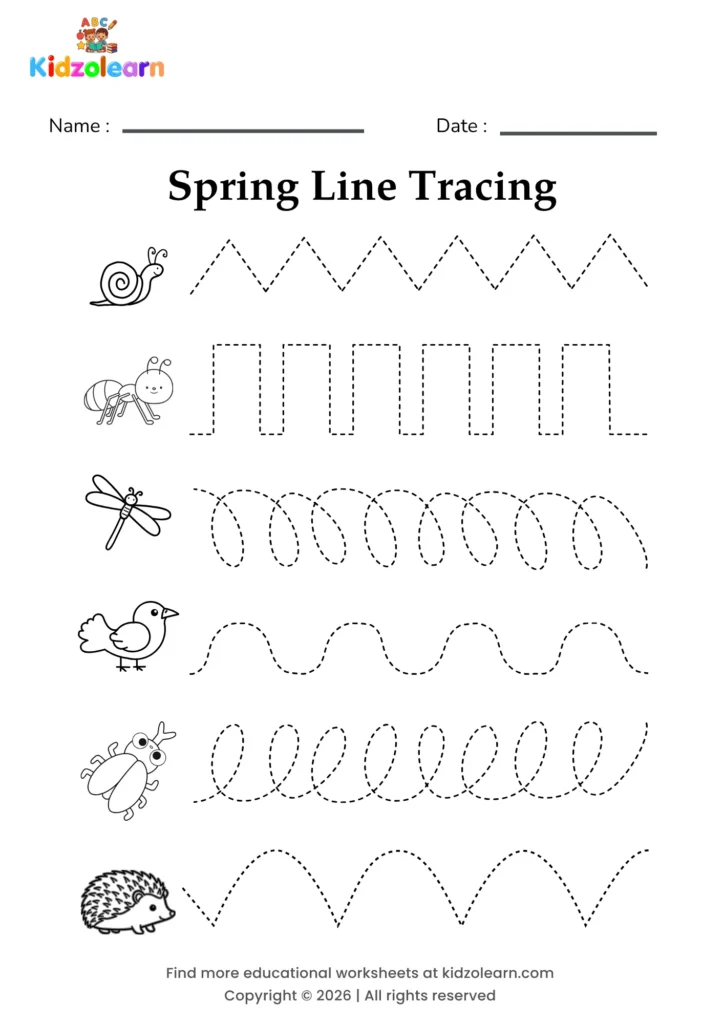 Free spring line tracing worksheet for kids – printable PDF with a snail, an ant, a dragonfly, a bird, a beetle and a hedgehog, each with its own dotted pattern strip and numbered dotted tracing lines
