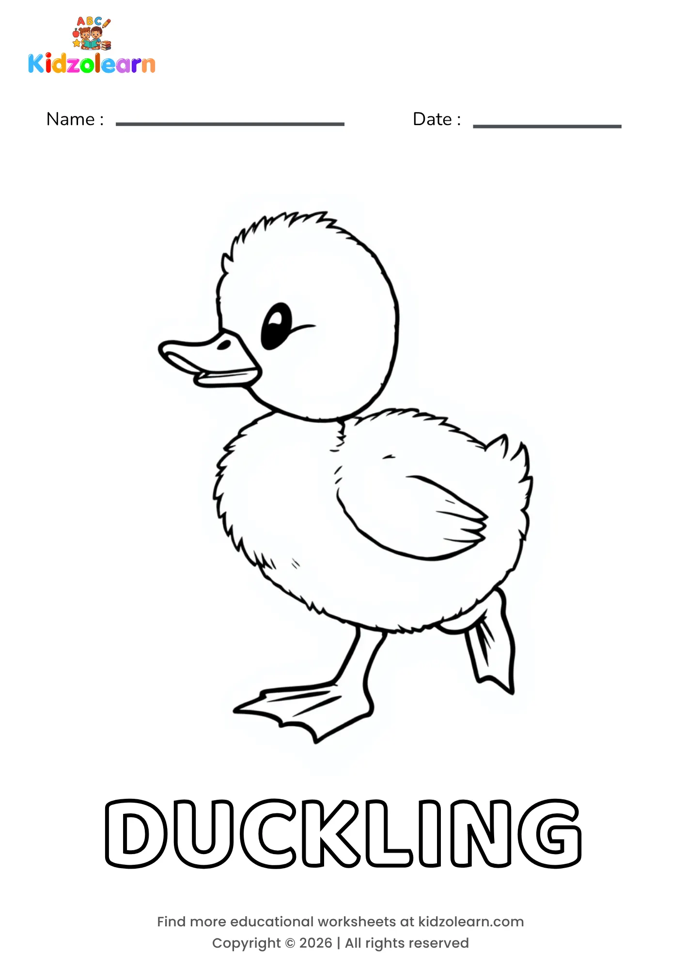 Free duckling coloring page for kids – printable PDF of a fluffy baby duckling walking forward with a small beak and webbed feet