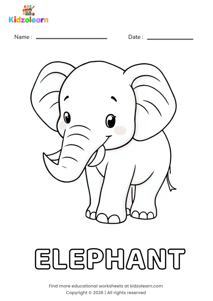Free elephant coloring page for kids – printable PDF of a baby elephant with big flappy ears, rosy cheeks and a curled-up trunk