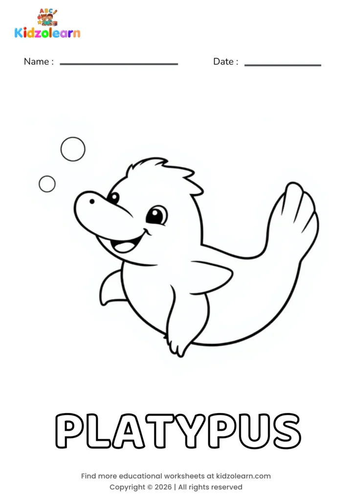 Free platypus coloring page for kids – printable PDF of a swimming platypus with a wide bill, webbed feet and small bubbles floating beside it