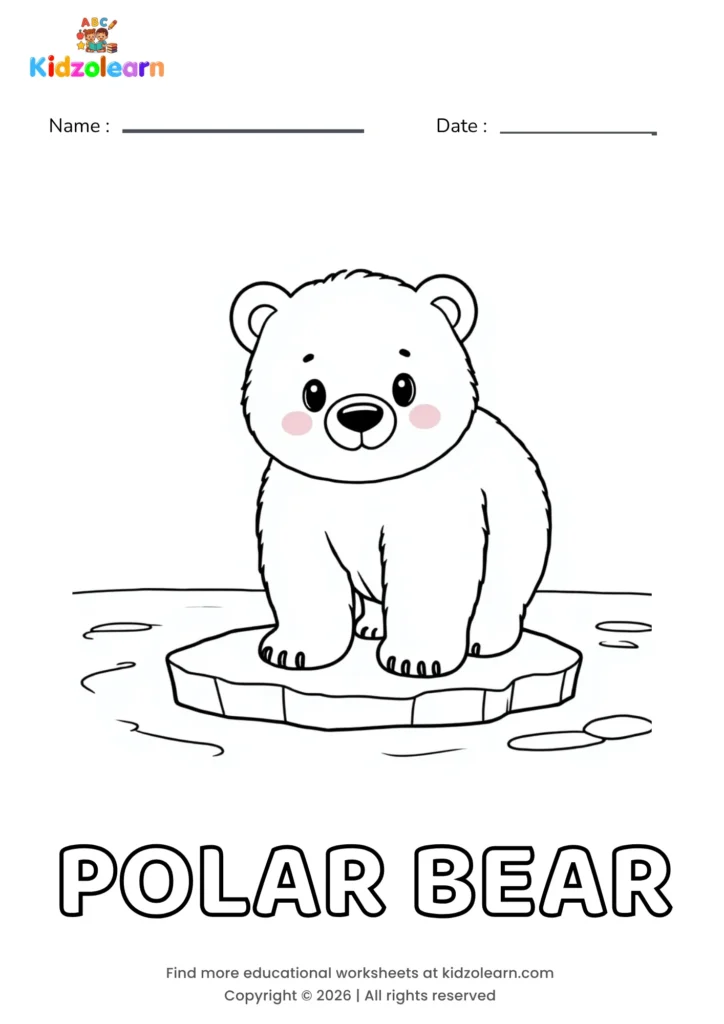 Free polar bear coloring page for kids – printable PDF of a chubby polar bear cub standing on a floating ice sheet with small paw pads showing