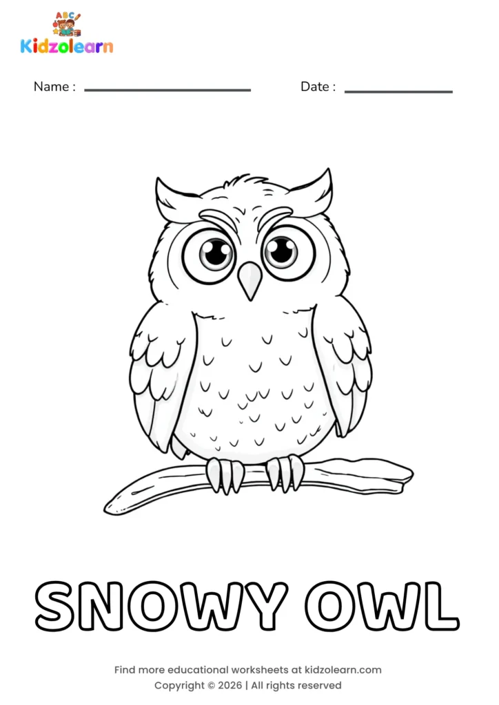 Free snowy owl coloring page for kids – printable PDF of a snowy owl with large round eyes, perched on a branch with soft feather detailing