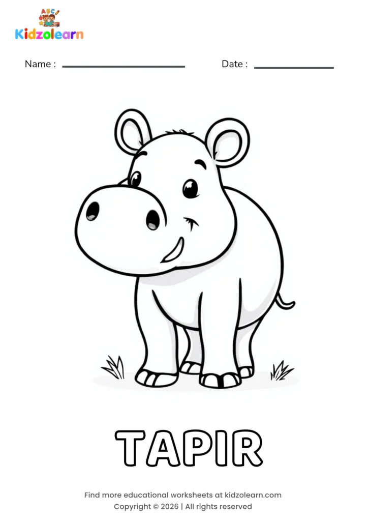 Free tapir coloring page for kids – printable PDF of a round-bodied tapir with a short trunk-like snout and small rounded ears